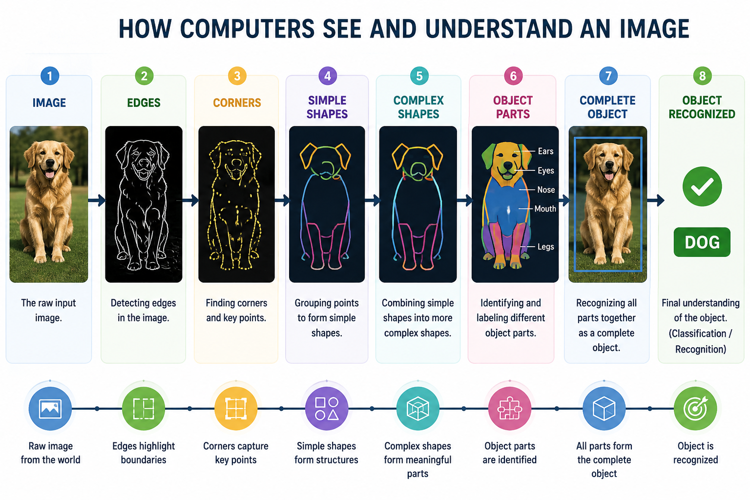 How computers see and understand an image: from raw input through edges, corners, simple shapes, complex shapes, object parts, complete object, to final recognition — the hierarchical feature learning pipeline in deep learning.